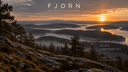 Löparväst eller löparbälte? Vad passar dig bäst? - Fjornrunning.com