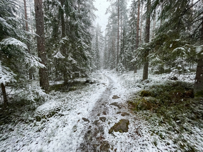 Löpare i Fjorn-väst vid skymning med reflexdetaljer synliga