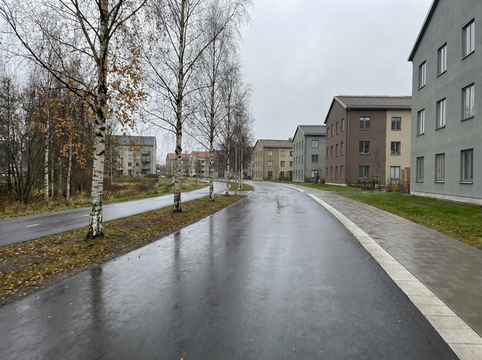 Löpare i Fjorn-väst på fjälltopp i kvällssol